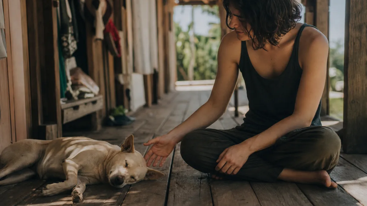 Syntonieanimale.com : l'art de décoder le langage animal